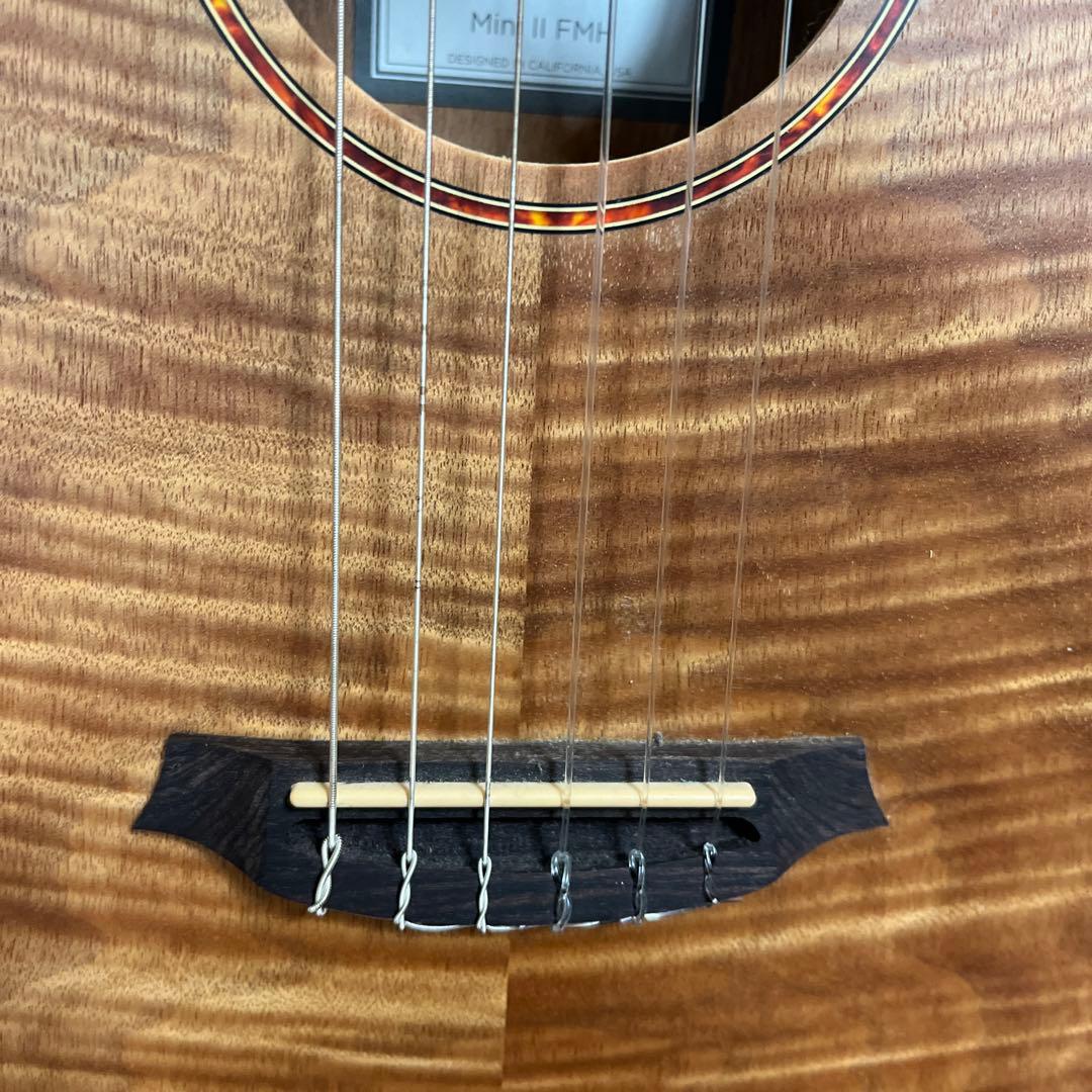 ギター Cordoba Mini ll FMH