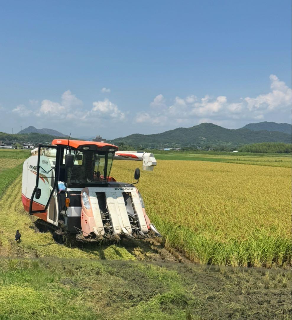《令和7年産》山口県宇部市 一等米コシヒカリ30kg
