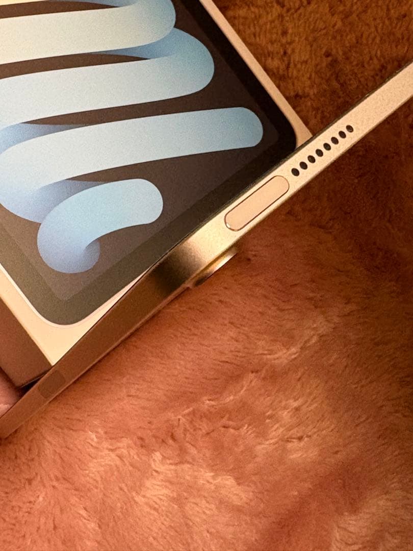 バッテリー容量100% iPad mini (第六世代) 64GB 即日発送