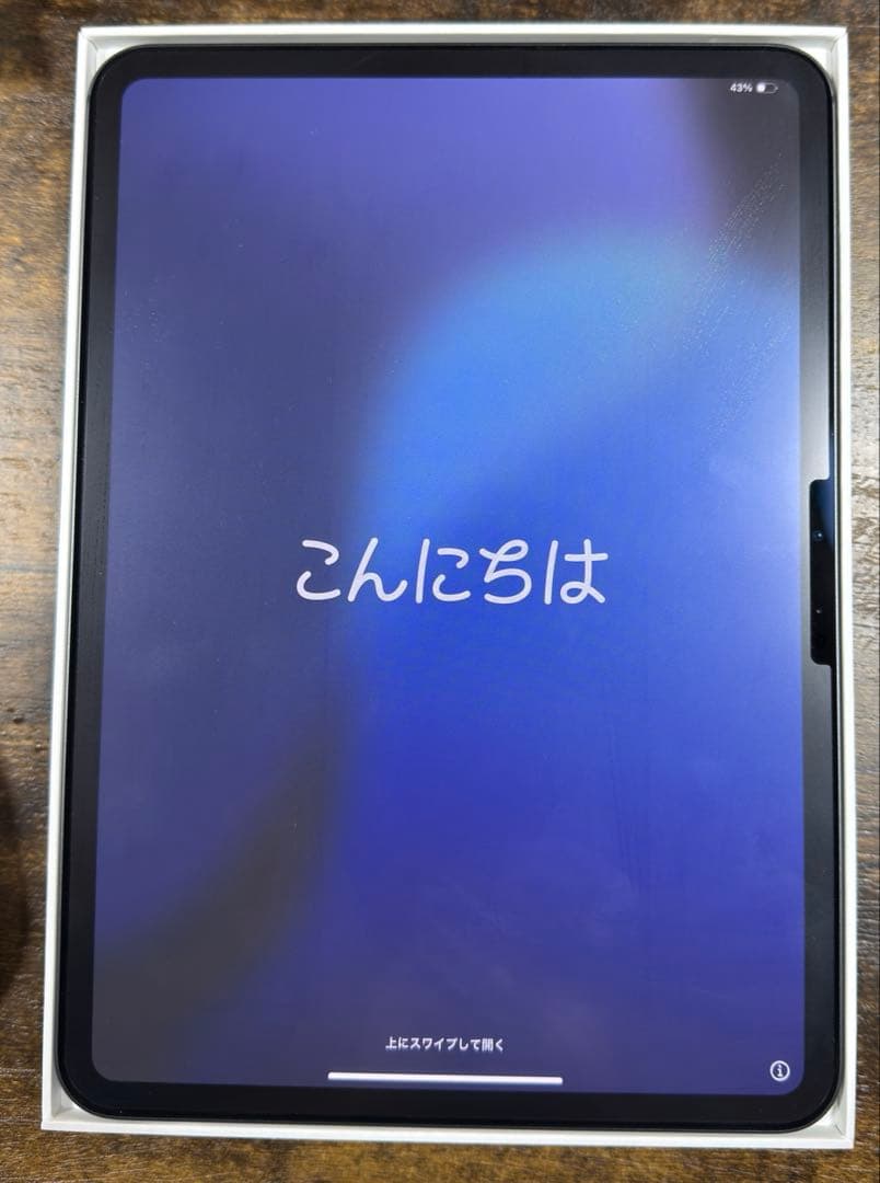 iPad Pro 11インチ Apple Pen Pro 他アクセサリー付き