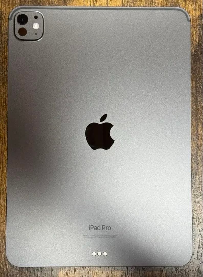 iPad Pro 11インチ Apple Pen Pro 他アクセサリー付き