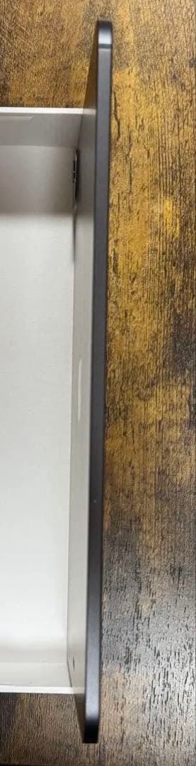 iPad Pro 11インチ Apple Pen Pro 他アクセサリー付き