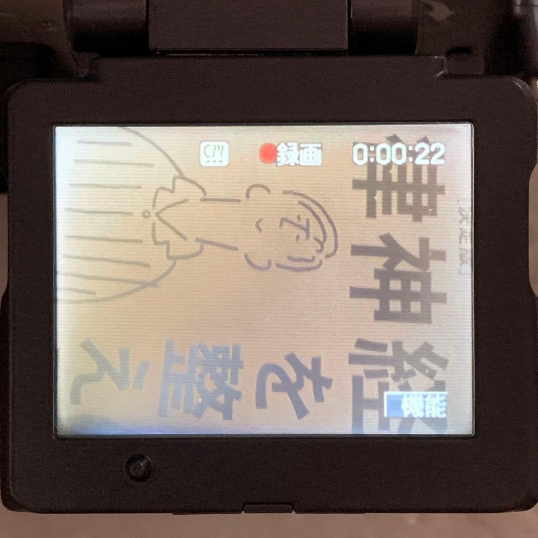 ソニー SONY DCR-IP220 MICROMV ハンディカム