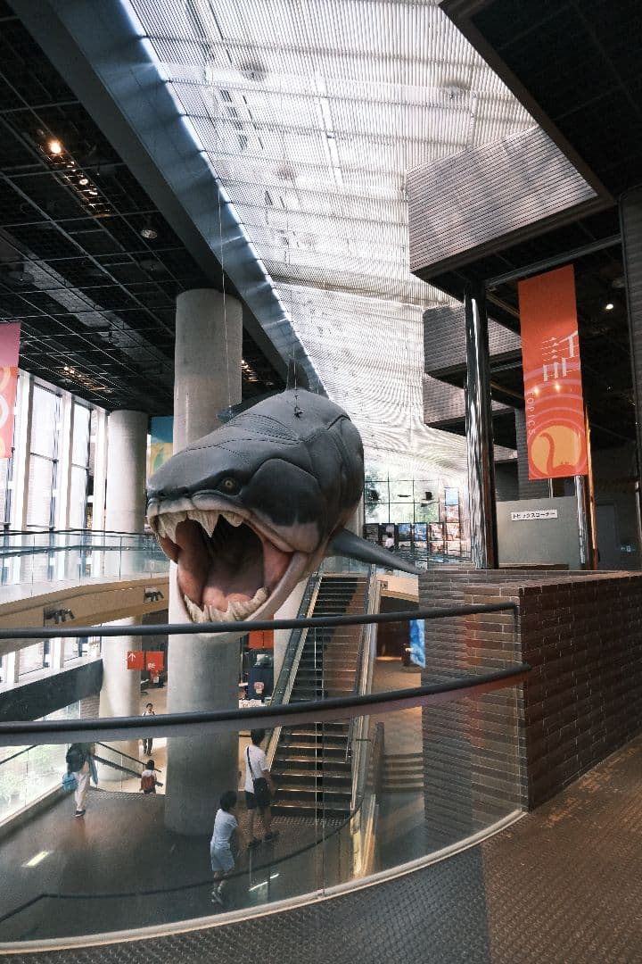 FUJIFILM デジタルカメラ X-T30 II 単焦点レンズセット