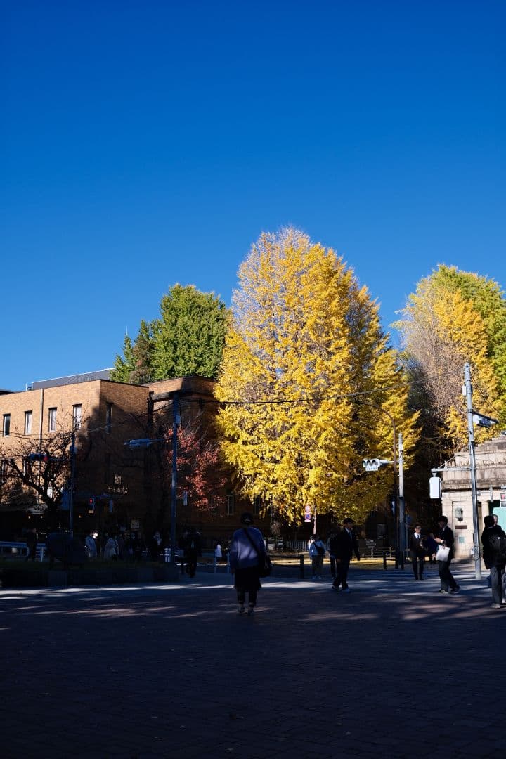 FUJIFILM デジタルカメラ X-T30 II 単焦点レンズセット