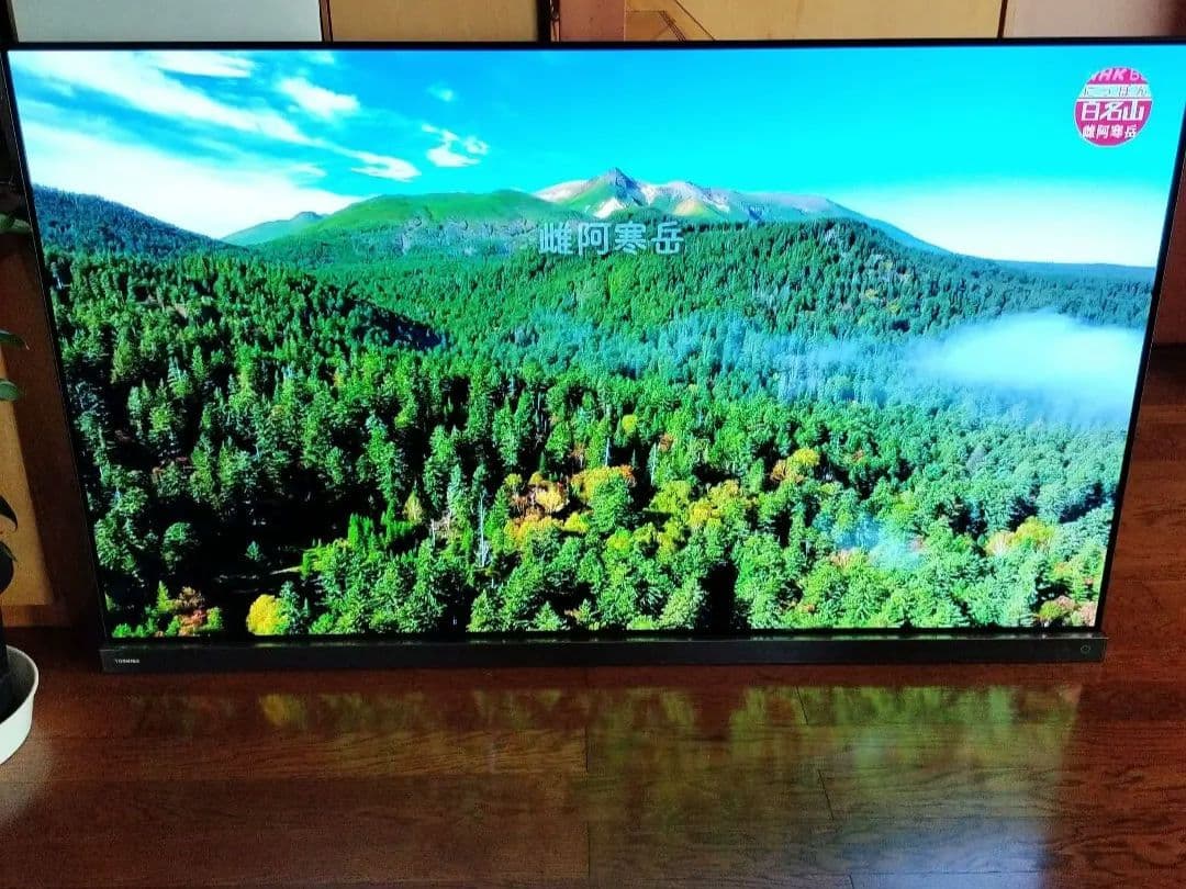 値下げ―REGZA有機EL/65X9400 /引取無料