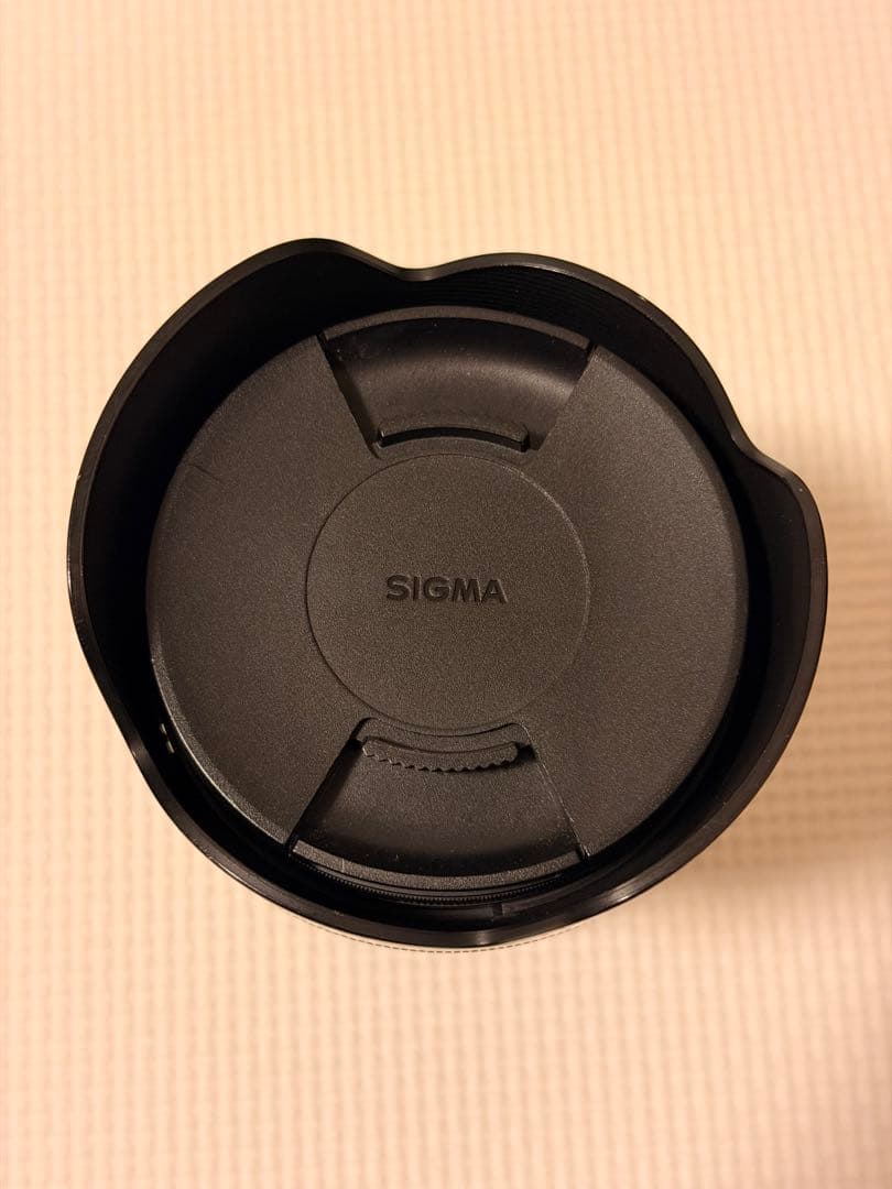 SIGMA18-300mm DC MACRO キヤノン用 EXUSフィルター付