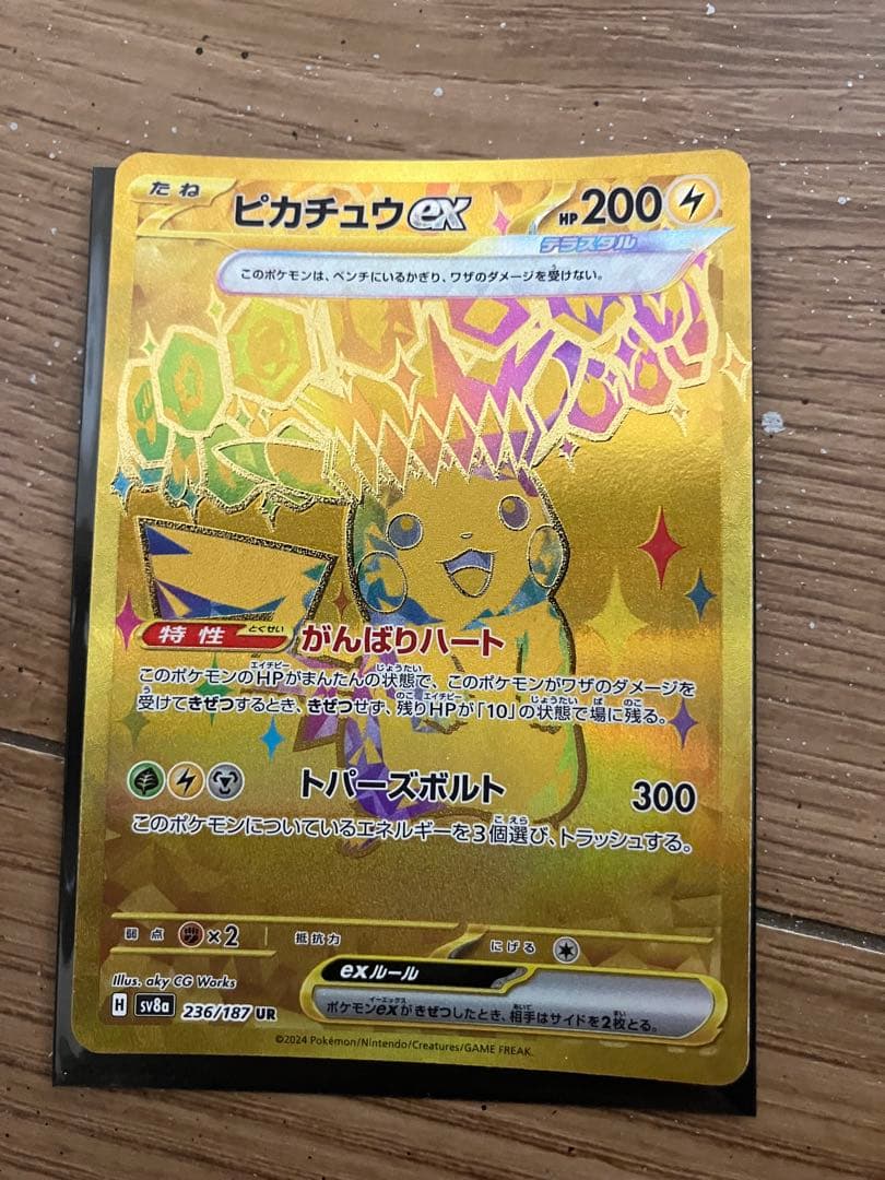 ポケカ　引退品