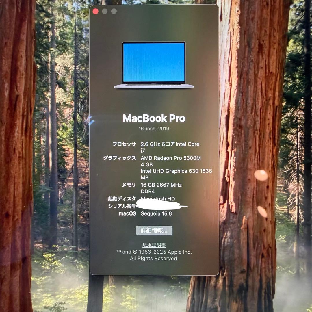 MacBook Pro 16インチ 2019 スペースグレイ 512GB