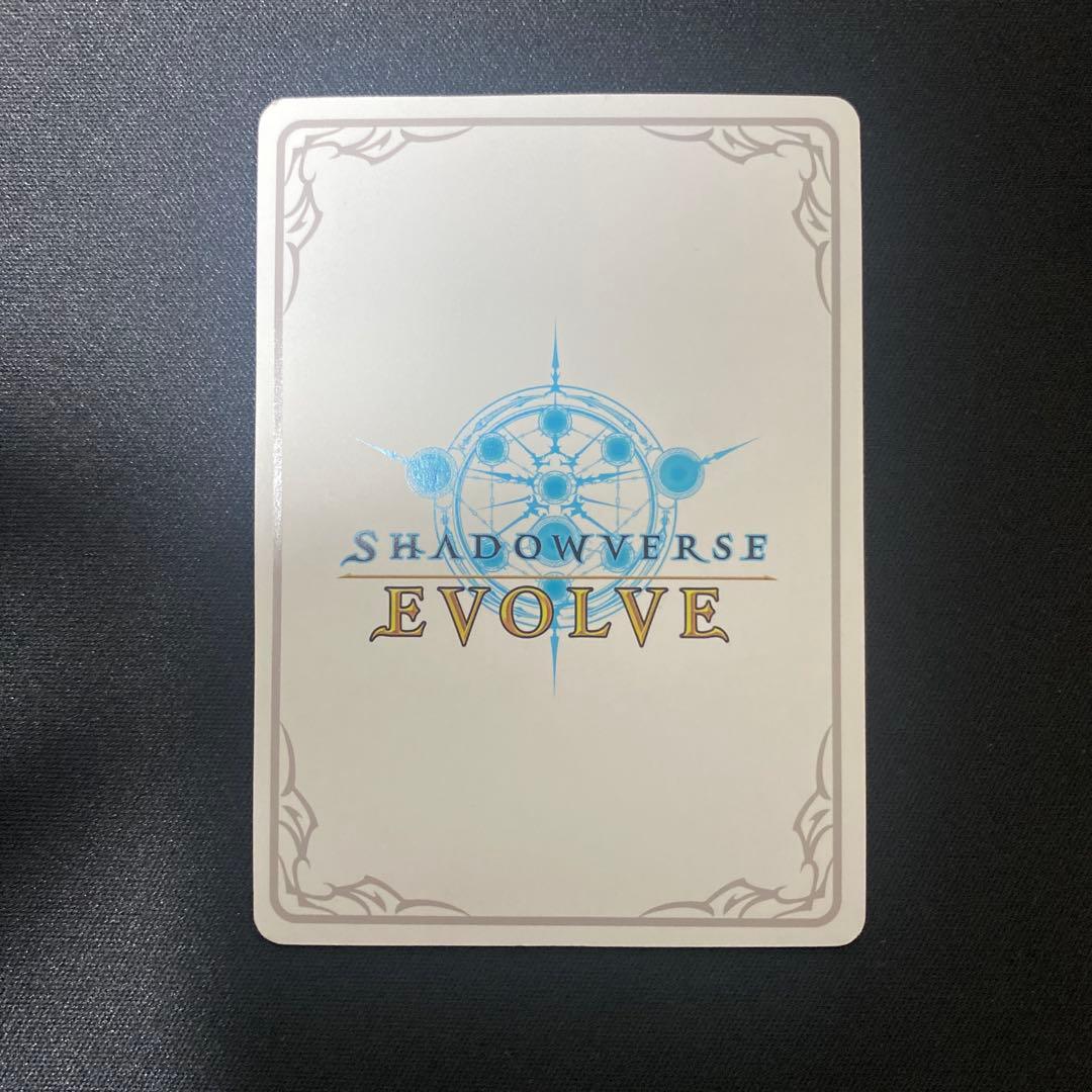 万華の鳳凰・ほーちゃん　リーダー