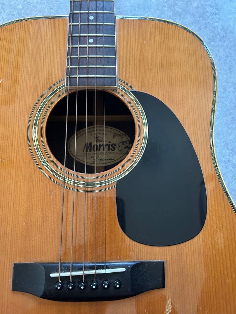 Morris　ギター　本体のみ W-25