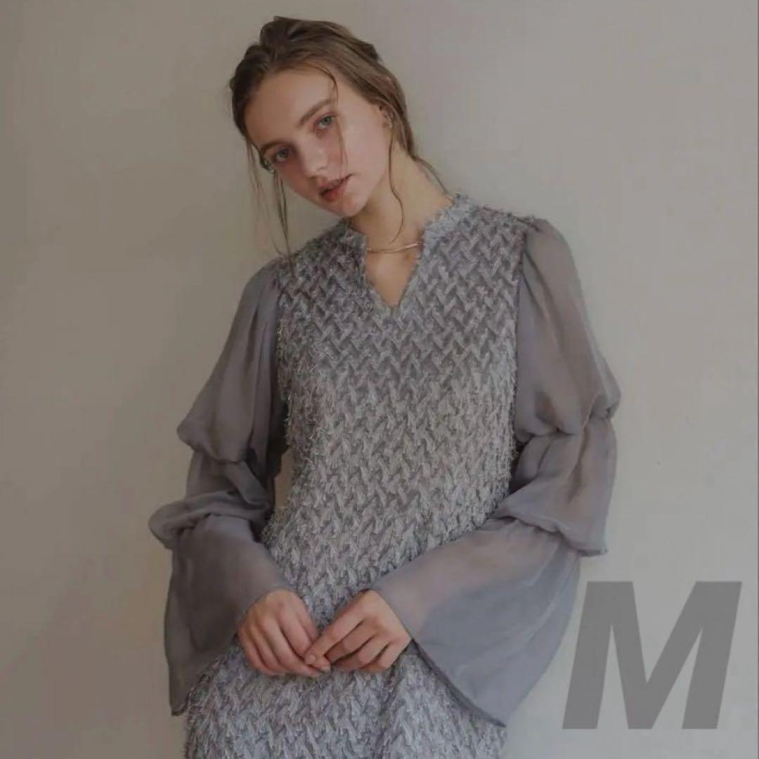 デザインスリーブシャギードレス 結婚式 およばれドレス　ドリードール