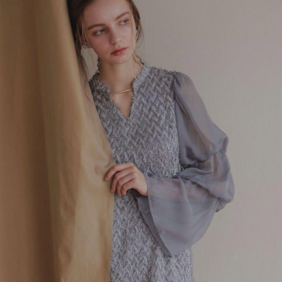 デザインスリーブシャギードレス 結婚式 およばれドレス　ドリードール