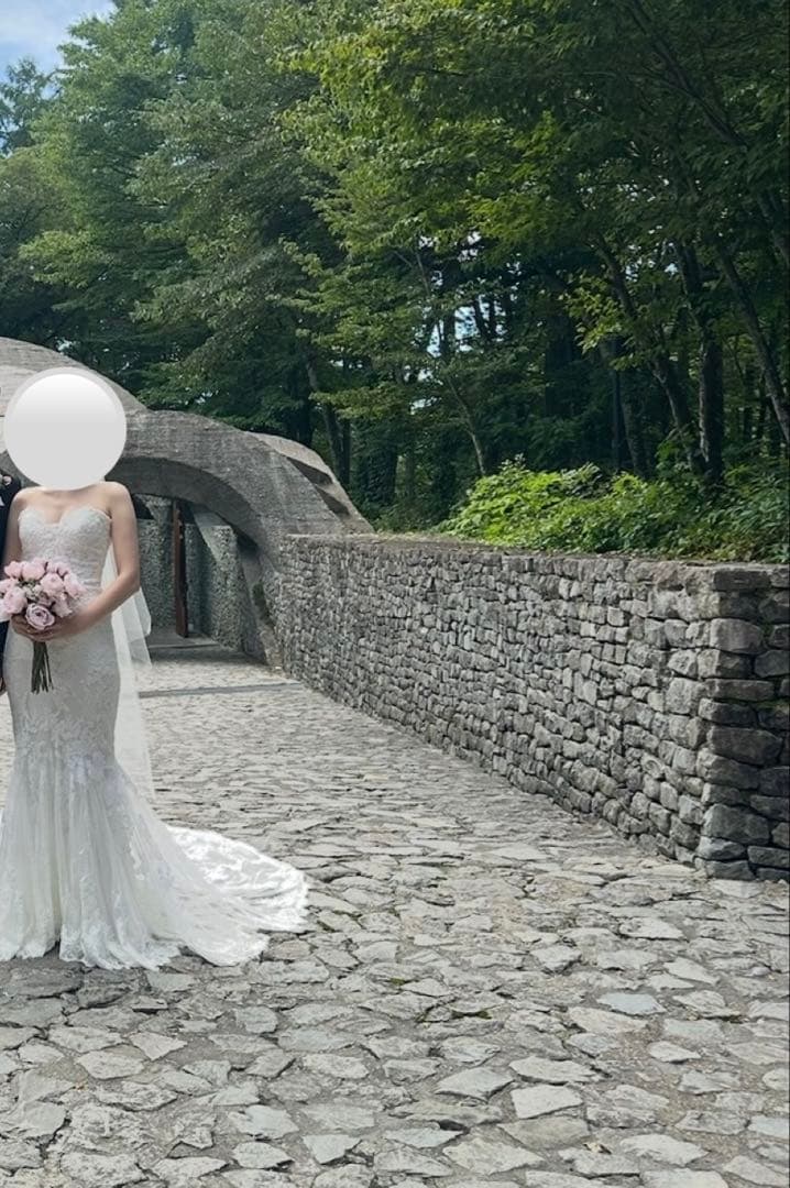 【値下げしました】PRONOVIAS ERMIN プロノビアス　マーメイドドレス