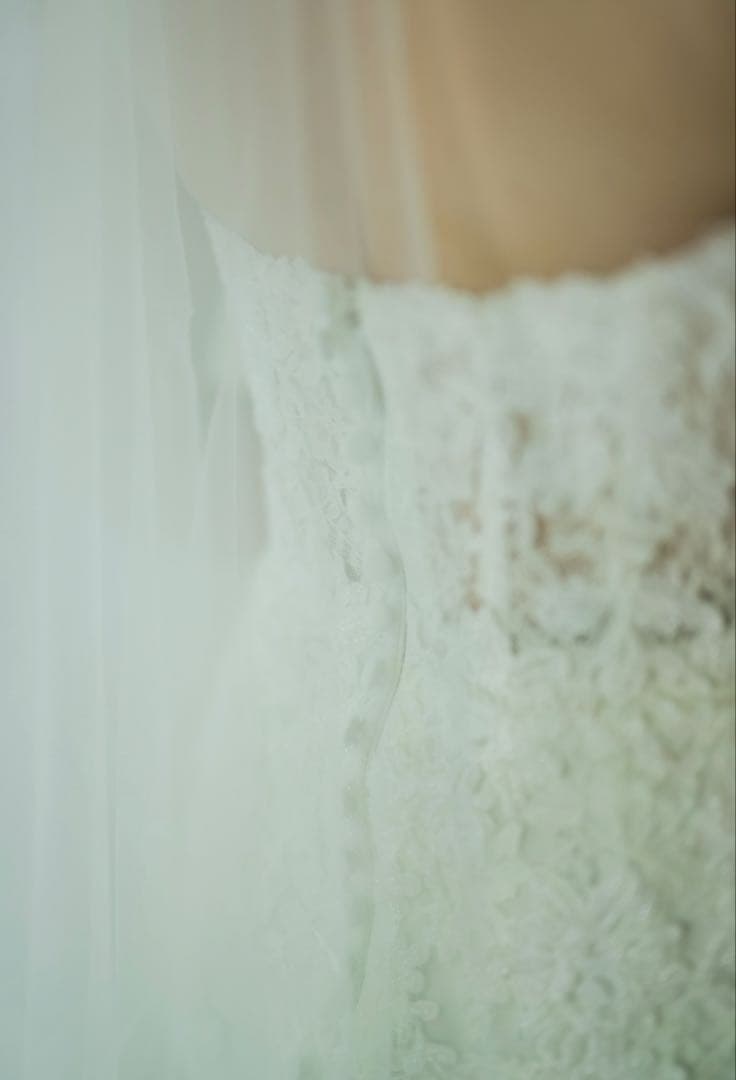 【値下げしました】PRONOVIAS ERMIN プロノビアス　マーメイドドレス