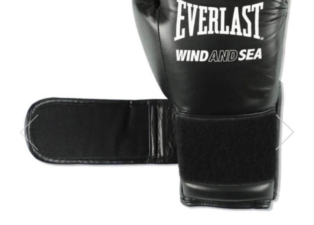 春に散る X WDS X EVERLAST BOXING GLOVE 10oz