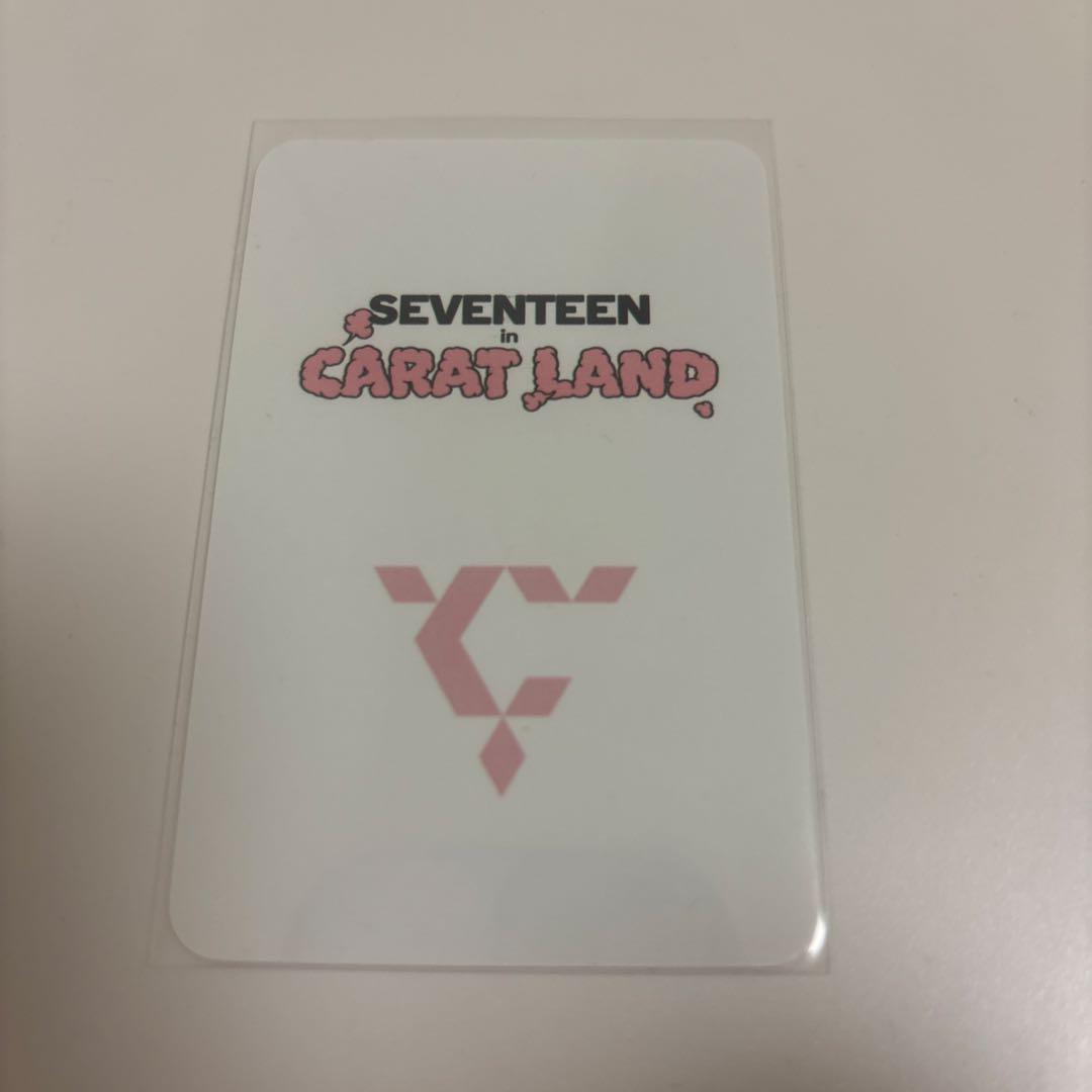 SEVENTEEN ジョンハン カラットゾーン carat zone トレカ