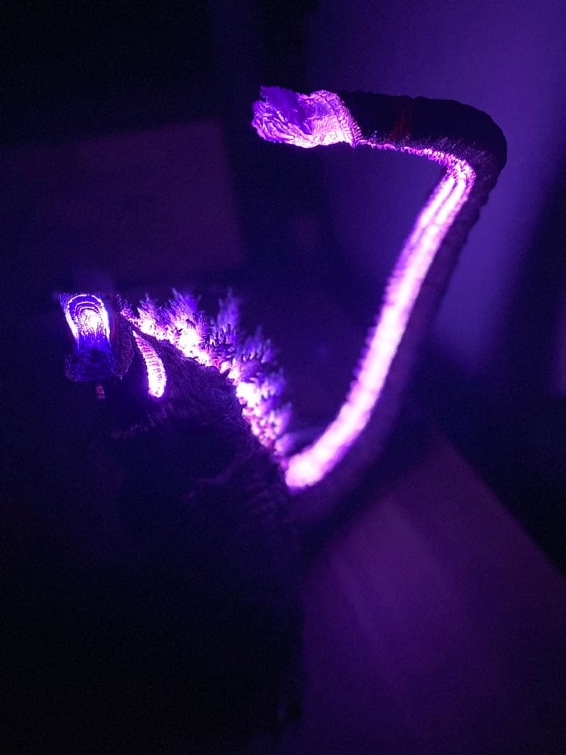 東宝30cmシリーズ ゴジラ（2016） 第4形態 覚醒ver 少年リック限定版