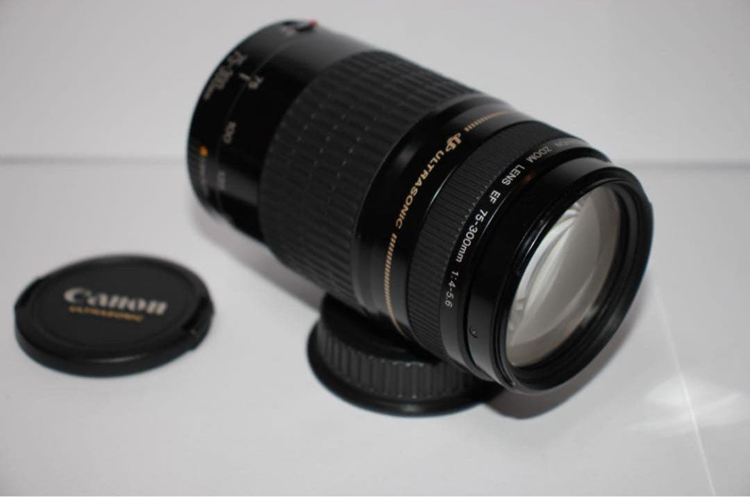 人気の300mm超望遠レンズ☆CANON EF 75-300mm F4-5.6