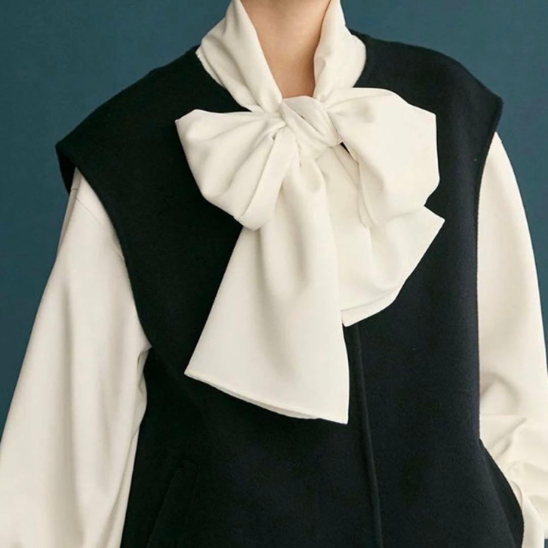 #Newans洗濯機可ビックリボンパウダリーブラウス ボウタイ オンワード