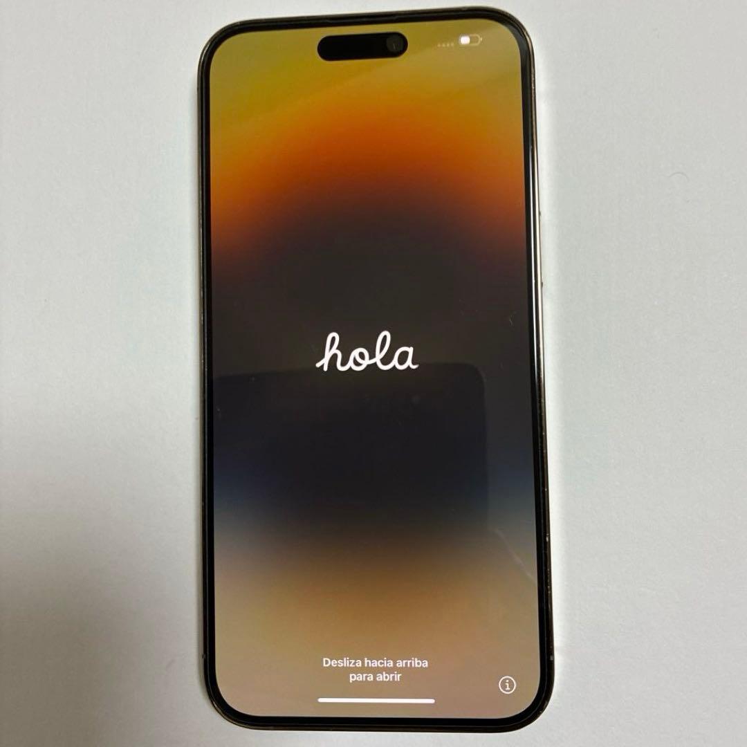 H*g様 H*i様 iPhone14ProMax Gold 256GB