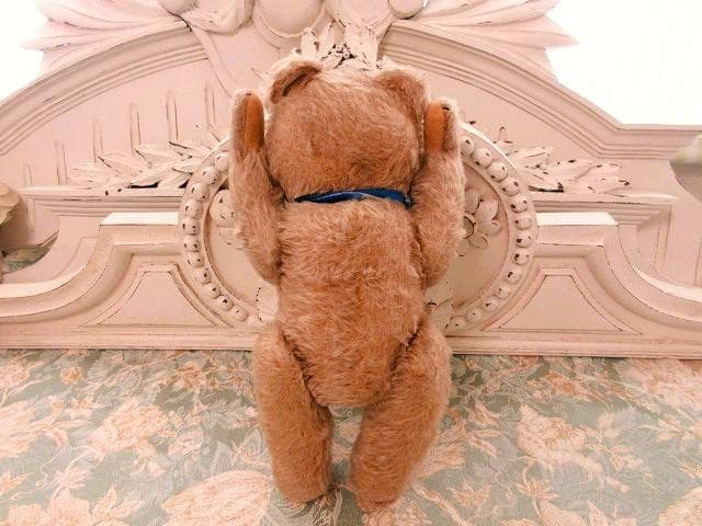 小振りの ハーマンベア　アンティーク　☆　パニエ付き　テディベア