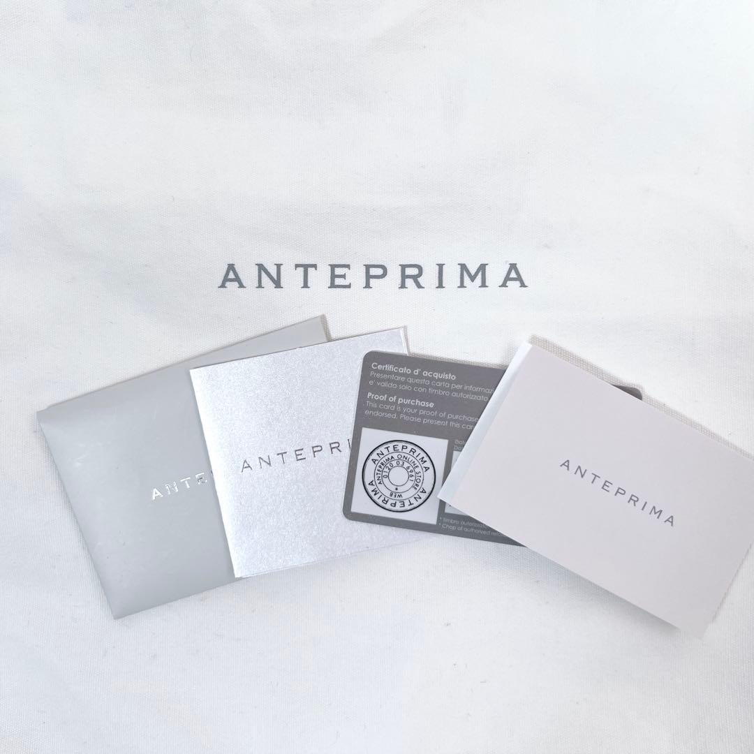 限定カラー✨アンテプリマ グリッター ワイヤーバッグ オーロラ 2WAY