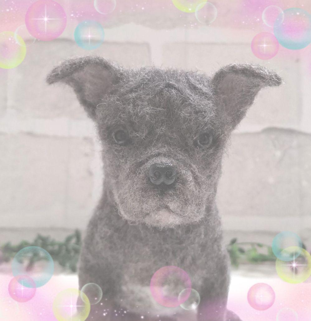 は♡うちの子オーダー♡羊毛フェルト♪ハンドメイド☆