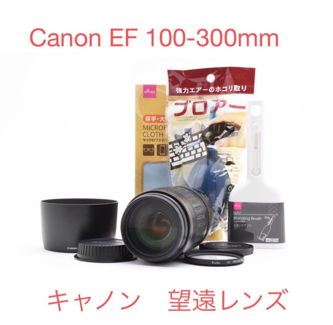 キャノン　望遠レンズ　Canon EF 100-300mm