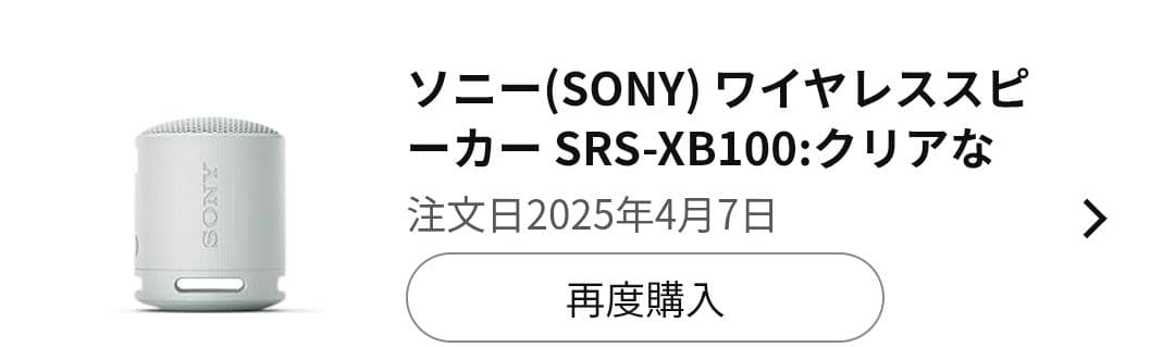 SONY SRS-XB100 ワイヤレススピーカー 2台セット