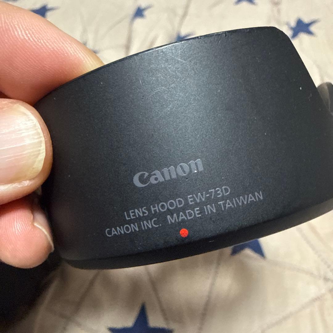 CanonRF24-105mm IS STMズームレンズ純正フード付き