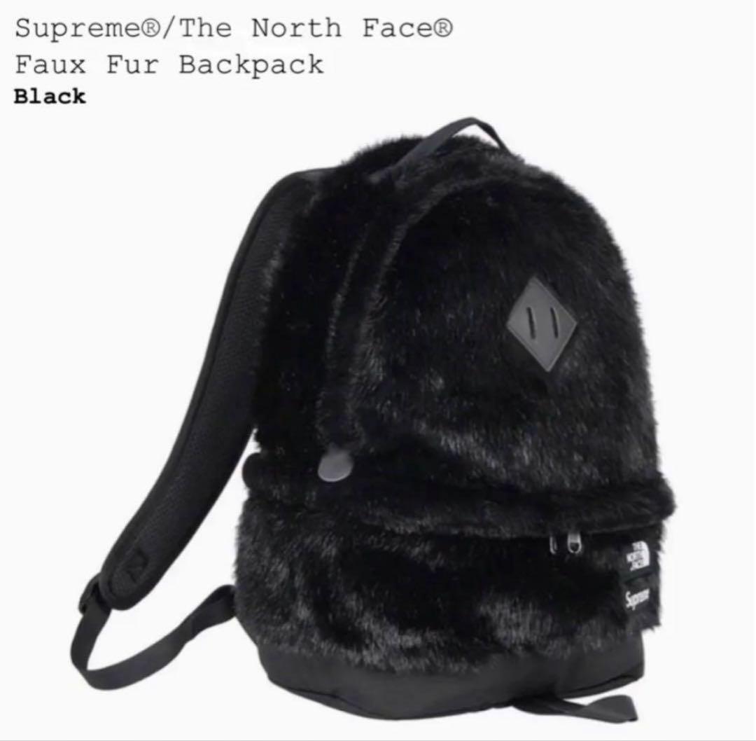 24時間以内発送 完売品 美品 TNF Faux Fur Backpack