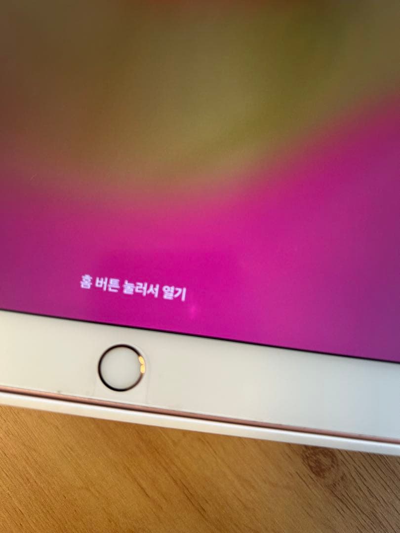 iPad Pro (10.5インチ)256GB Wi-Fi＋Cellular本体