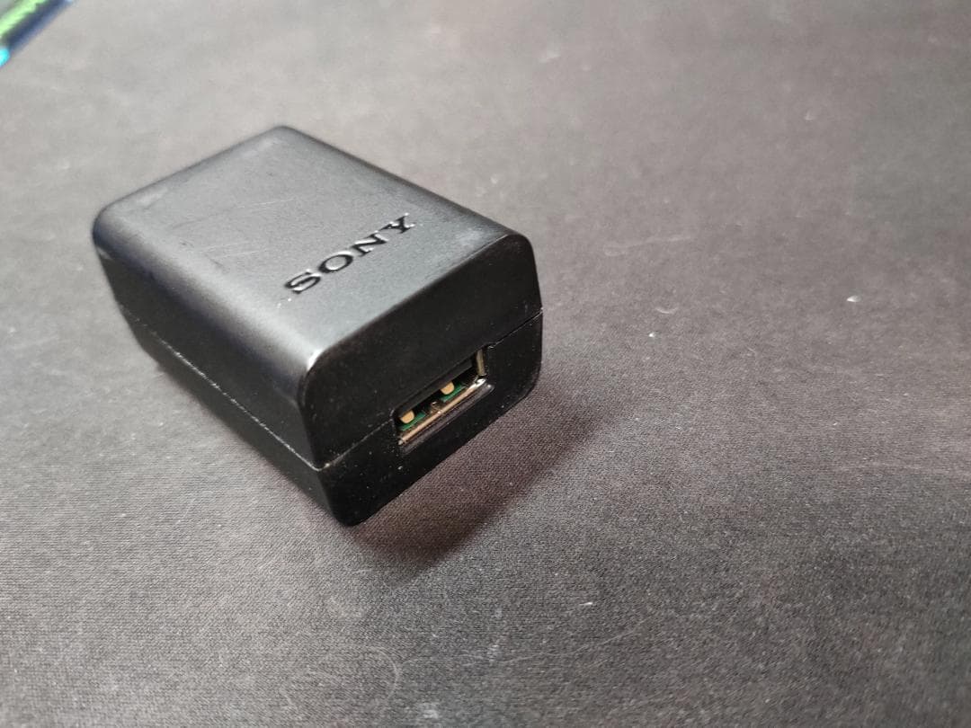 SRS-HG10　美品　充電アダプター＆B to A-USBケーブル2本　同梱