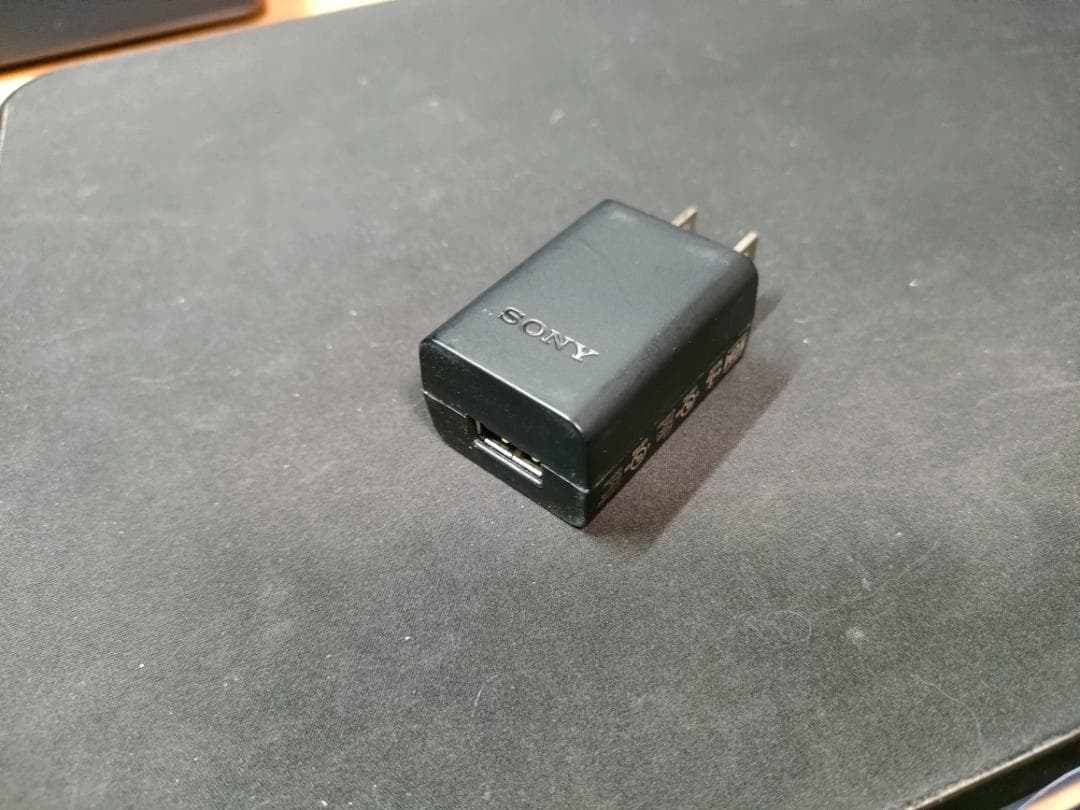 SRS-HG10　美品　充電アダプター＆B to A-USBケーブル2本　同梱