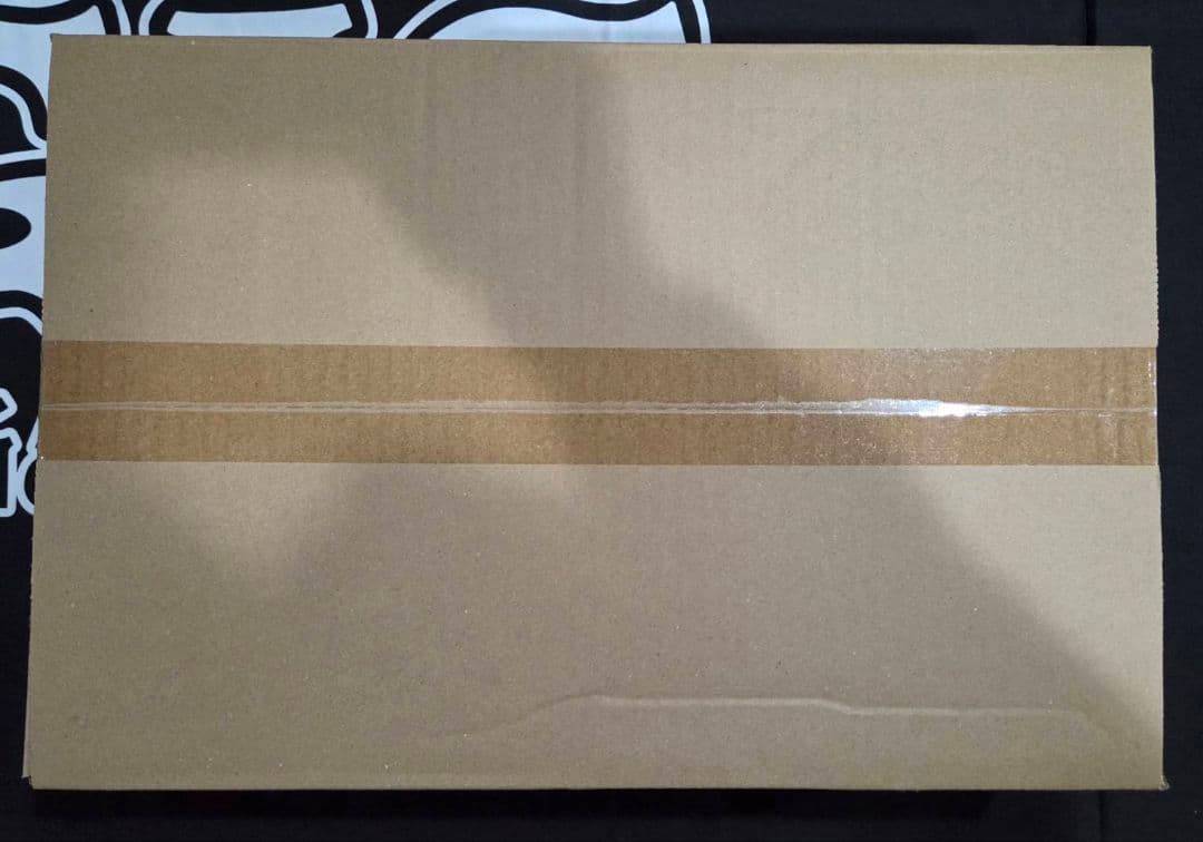 ヴァイス　勝利の女神:NIKKE　未開封　1カートン