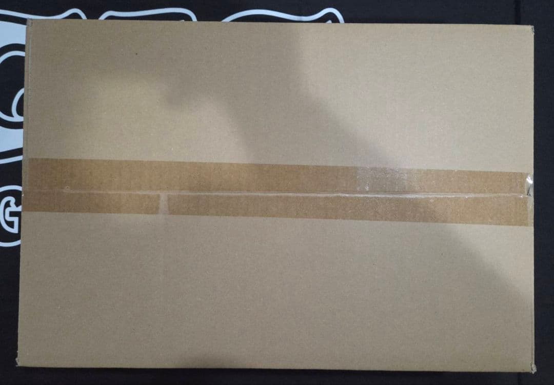 ヴァイス　勝利の女神:NIKKE　未開封　1カートン