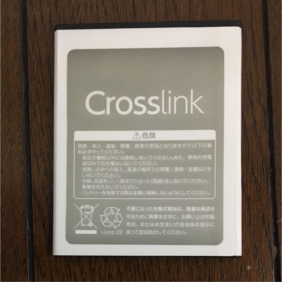 Polaroid PolaSma バッテリー