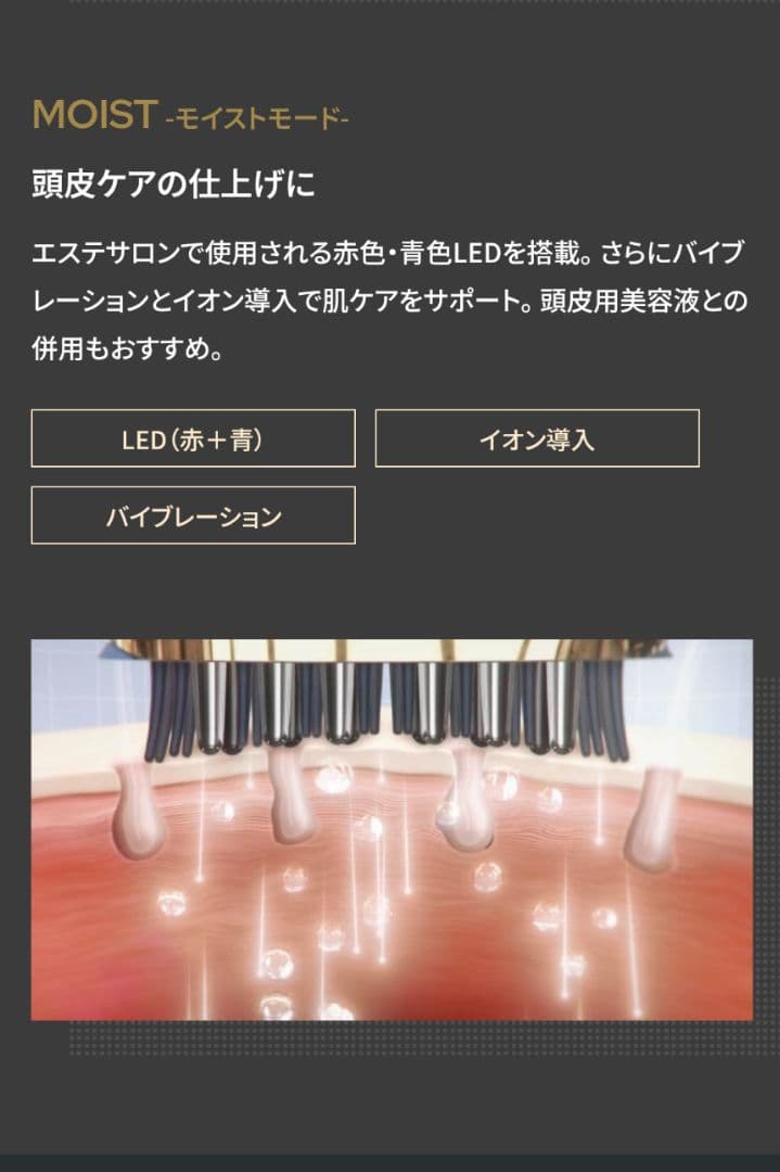 ヤーマン YA-MAN ヴェーダスカルプブラシ BS for salon