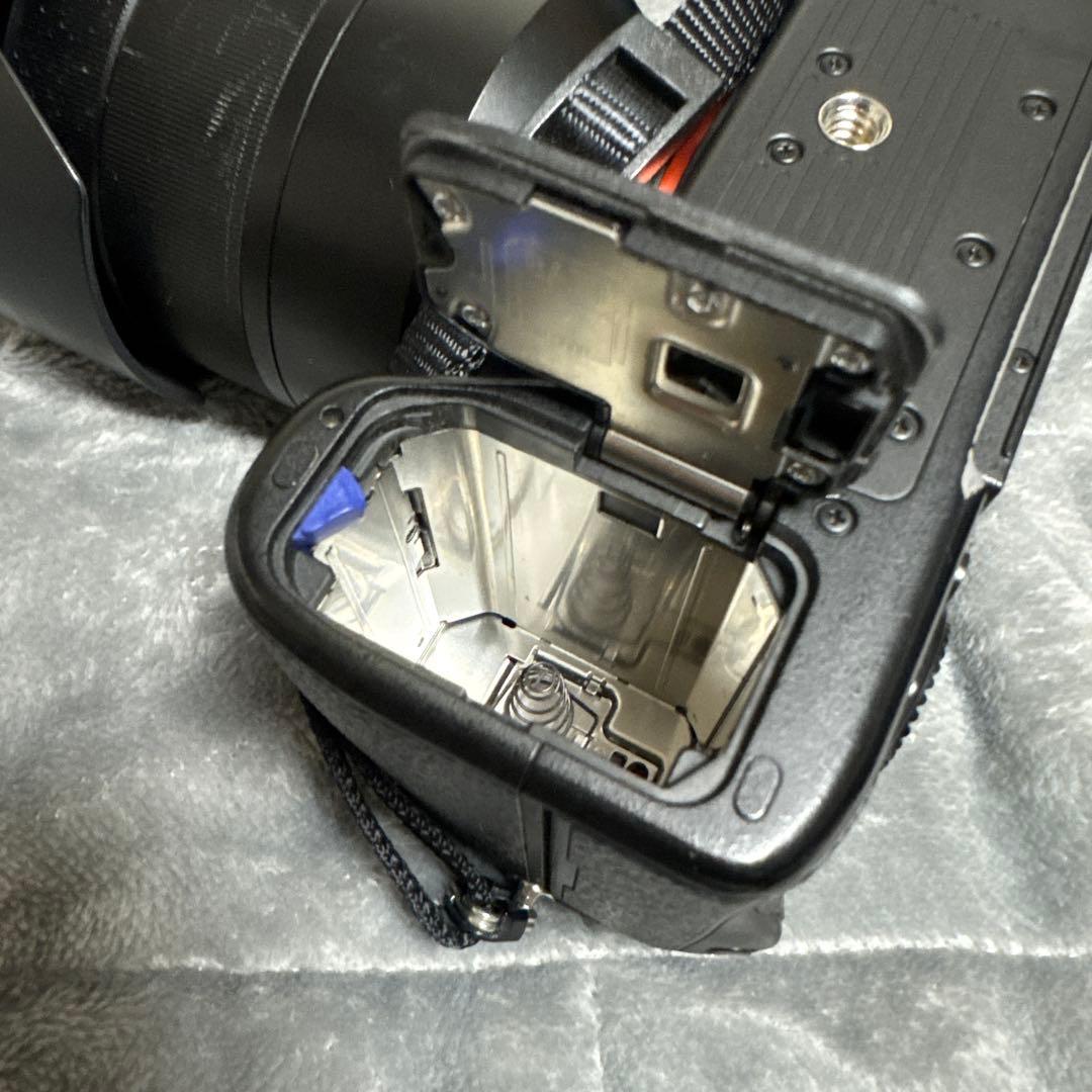 sony a9（初代）24-70レンズ付き（オマケ多数）