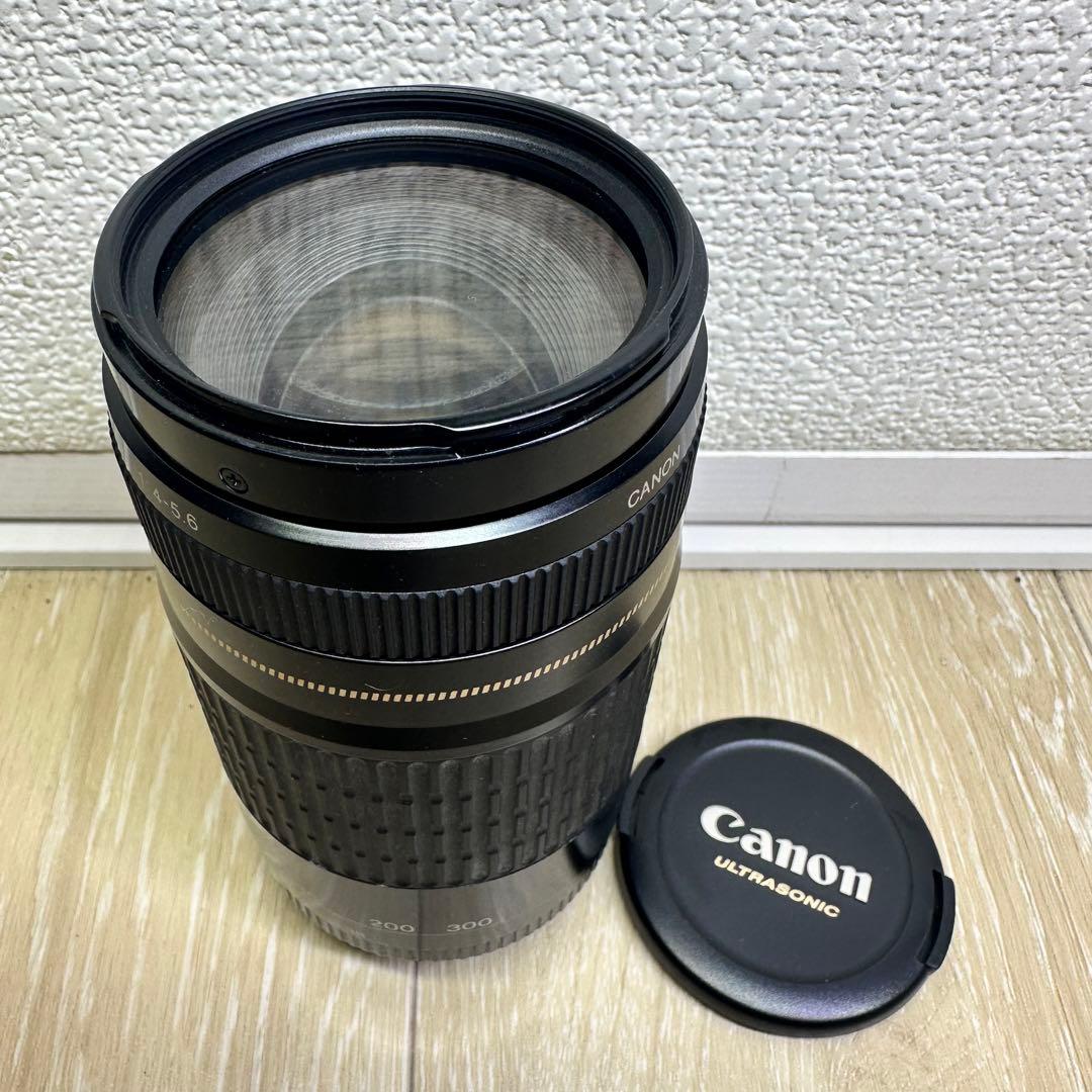 Canon レンズ EF 75-300mm F4-5.6(3)USM