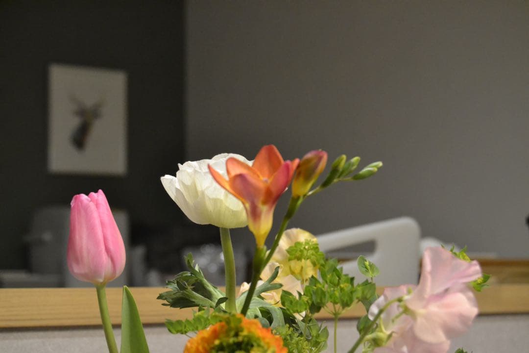 Nikon D3100 デジタル一眼　af-s 18-55 GⅡレンズ付　動作品