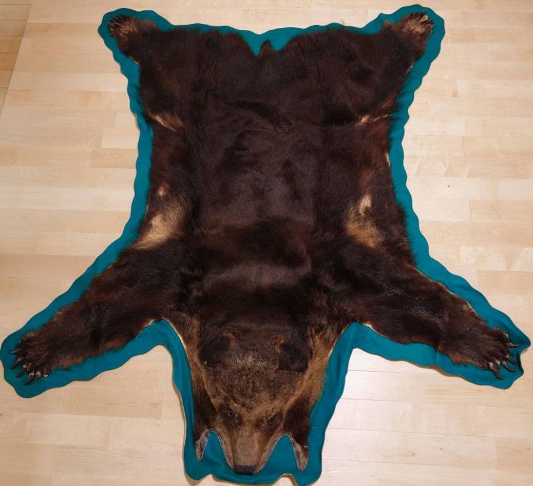 熊 毛皮 剥製 爪あり ラグ 敷物 カーペット(約180×170)