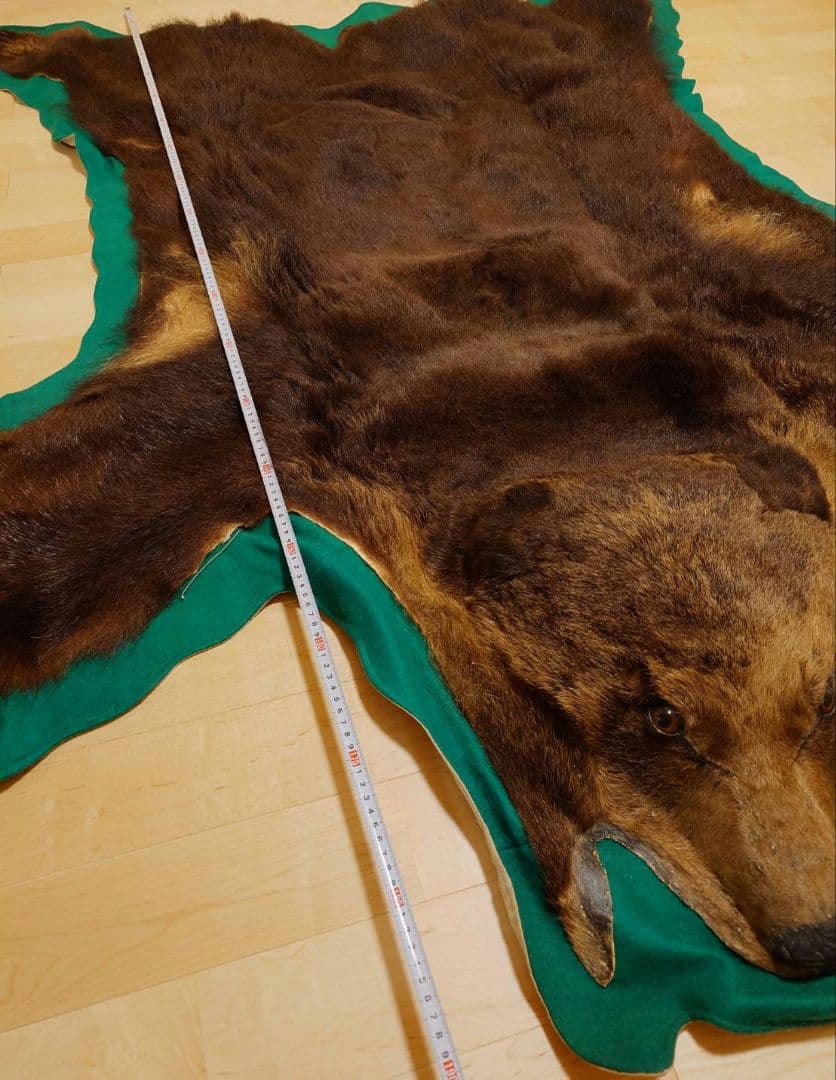 熊 毛皮 剥製 爪あり ラグ 敷物 カーペット(約180×170)