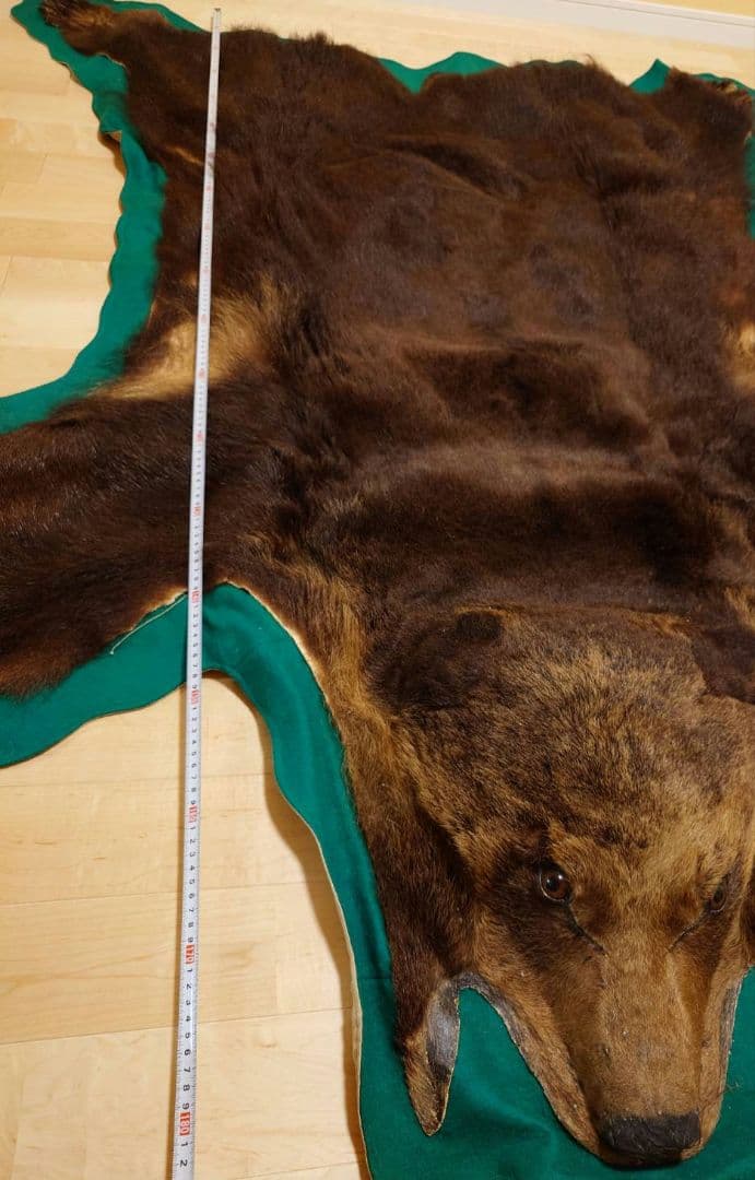 熊 毛皮 剥製 爪あり ラグ 敷物 カーペット(約180×170)