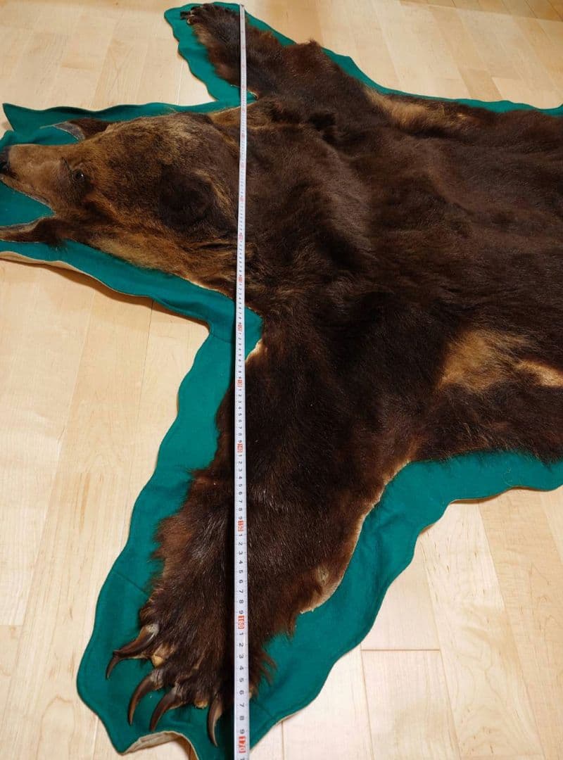 熊 毛皮 剥製 爪あり ラグ 敷物 カーペット(約180×170)