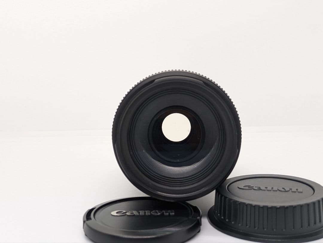 1月19日限定価格♪【超望遠レンズ】Canon EF 90-300mm