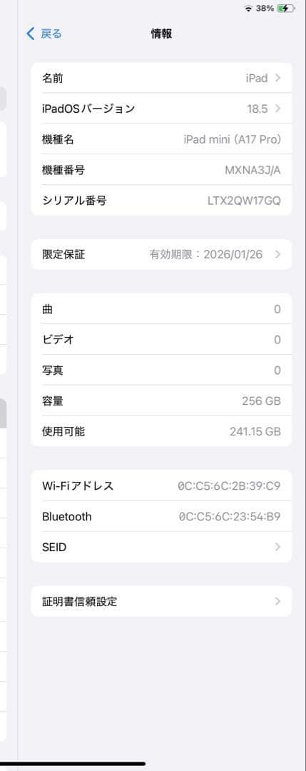 アップル Apple iPad mini （A17 Pro） 256GB