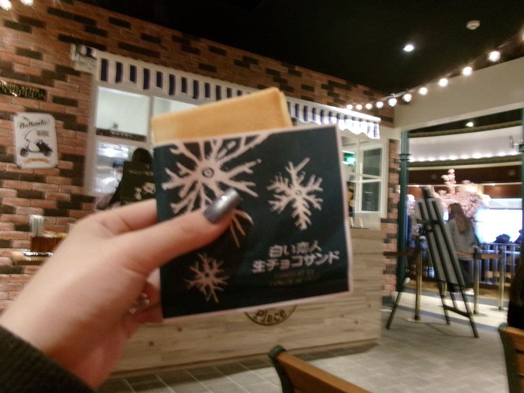 コダックカメラ fz55