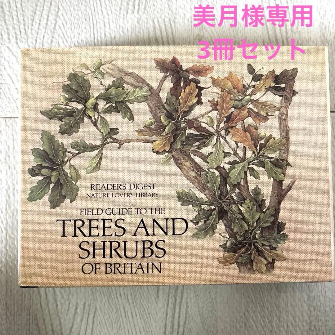 美月　3冊セット